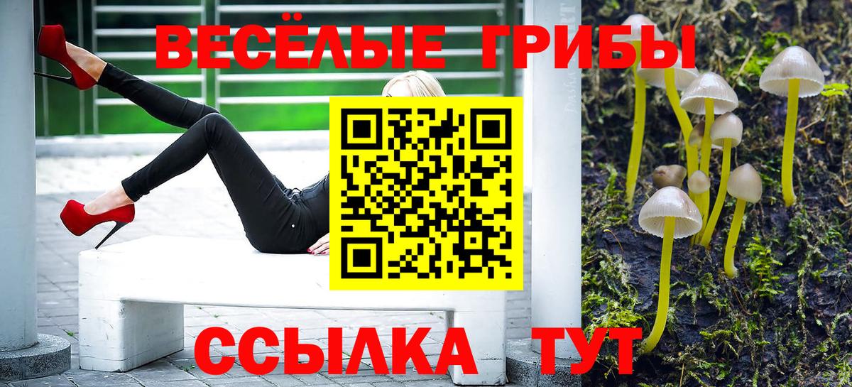 Кизилюрт  Галлюциногенные грибы Psilocybine cubensis  магазин продажи   Вход с VPN  Псилоцибиновые грибы Psilocybe 